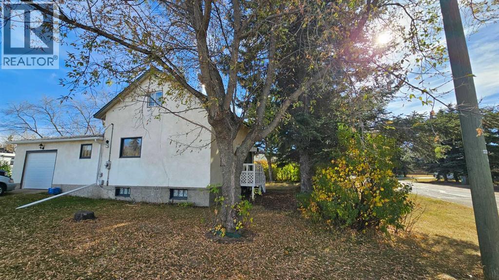 4529 44 Street, Castor, Alberta  T0C 0X0 - Photo 1 - A2263164