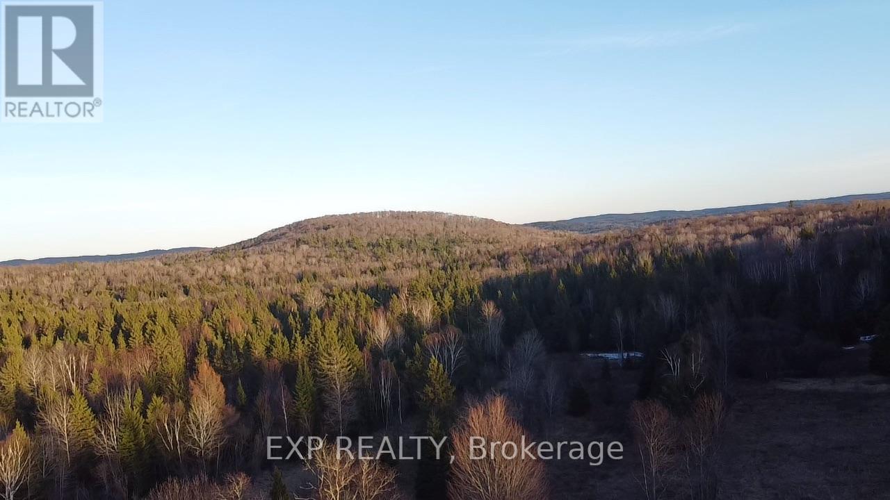 98 Kennedy Road, Carlow/mayo, Ontario  K0L 1G0 - Photo 13 - X13015304