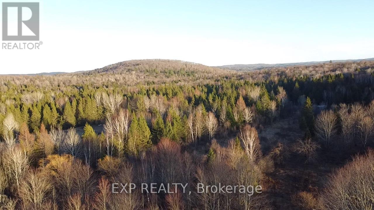 98 Kennedy Road, Carlow/mayo, Ontario  K0L 1G0 - Photo 15 - X13015304