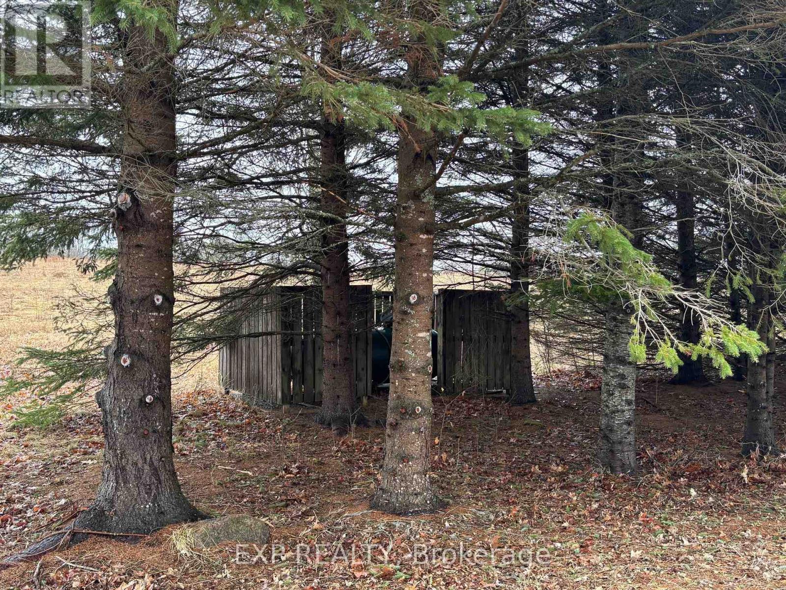 98 Kennedy Road, Carlow/mayo, Ontario  K0L 1G0 - Photo 28 - X13015304