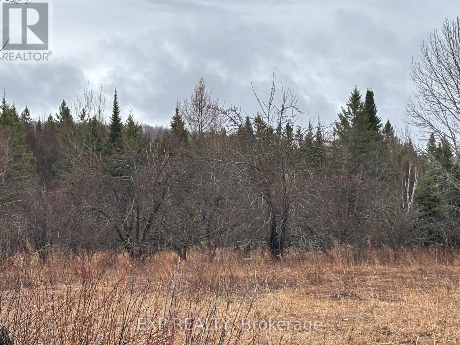 98 Kennedy Road, Carlow/mayo, Ontario  K0L 1G0 - Photo 30 - X13015304