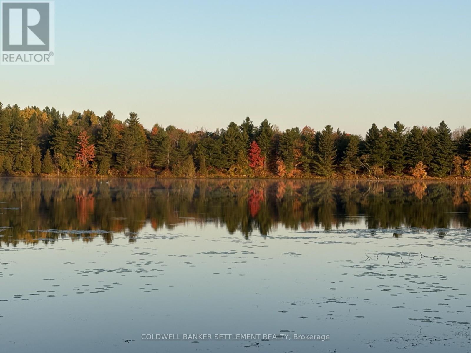 327 Clear Lake Lane 31 Lane, Tay Valley, Ontario  K0H 2B0 - Photo 22 - X13015316