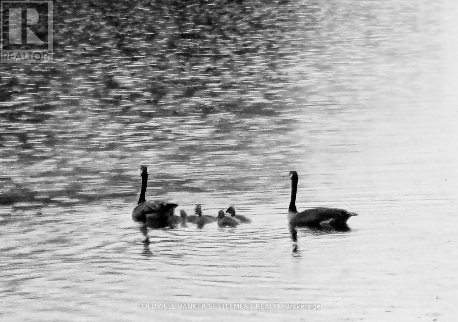 327 Clear Lake Lane 31 Lane, Tay Valley, Ontario  K0H 2B0 - Photo 27 - X13015316