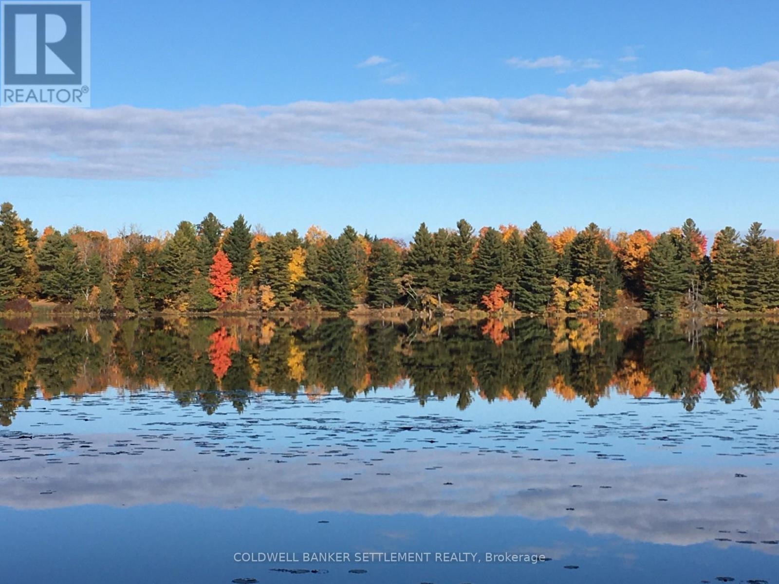 327 Clear Lake Lane 31 Lane, Tay Valley, Ontario  K0H 2B0 - Photo 28 - X13015316