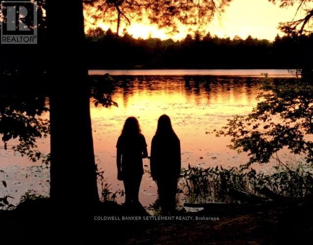 327 Clear Lake Lane 31 Lane, Tay Valley, Ontario  K0H 2B0 - Photo 29 - X13015316