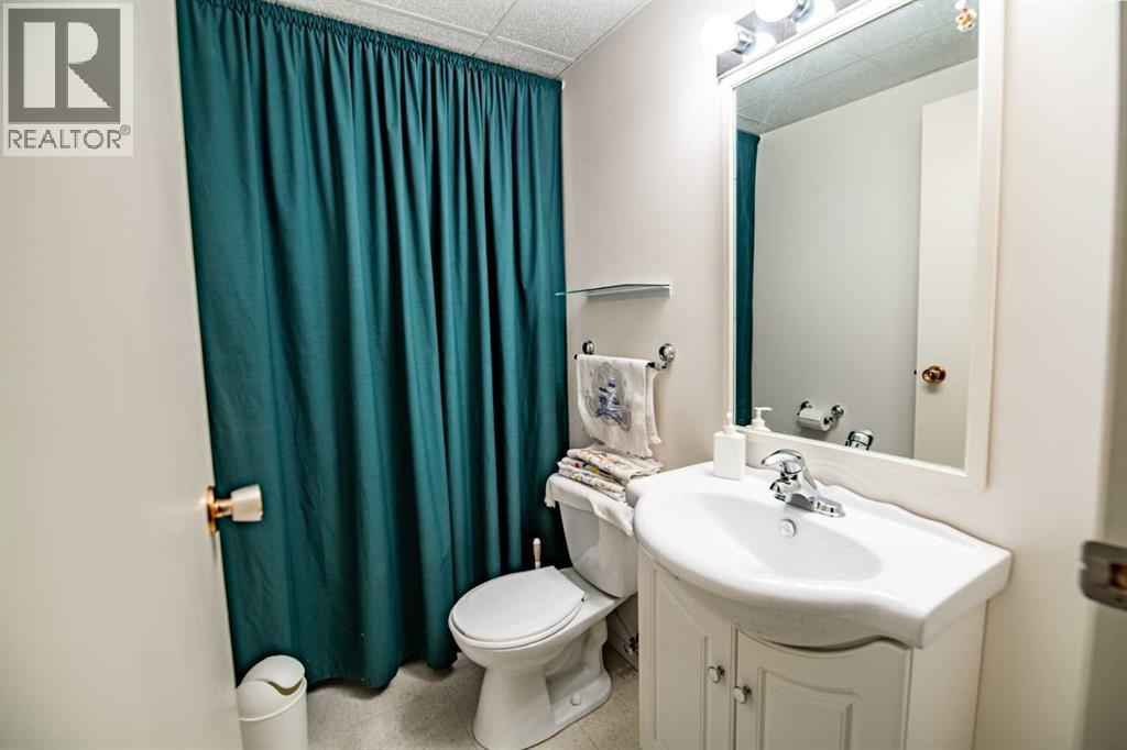 5333 57 Avenue, Rocky Mountain House, Alberta  T4T 1M7 - Photo 36 - A2289765