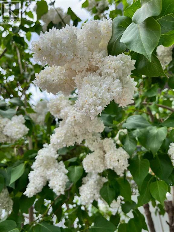 118 Brae Glen Lane Sw, Calgary, Alberta  T2W 1B6 - Photo 29 - A2290345