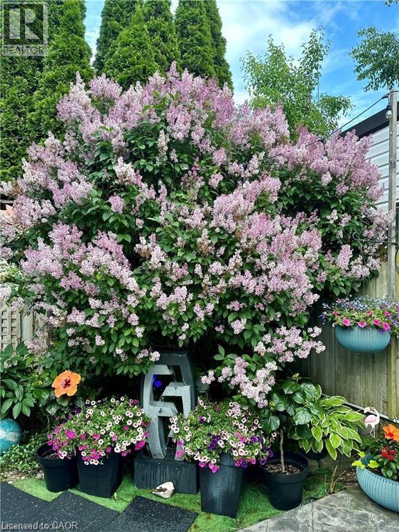 15 Gees Way, Cambridge, Ontario  N3C 4M5 - Photo 27 - 40805452