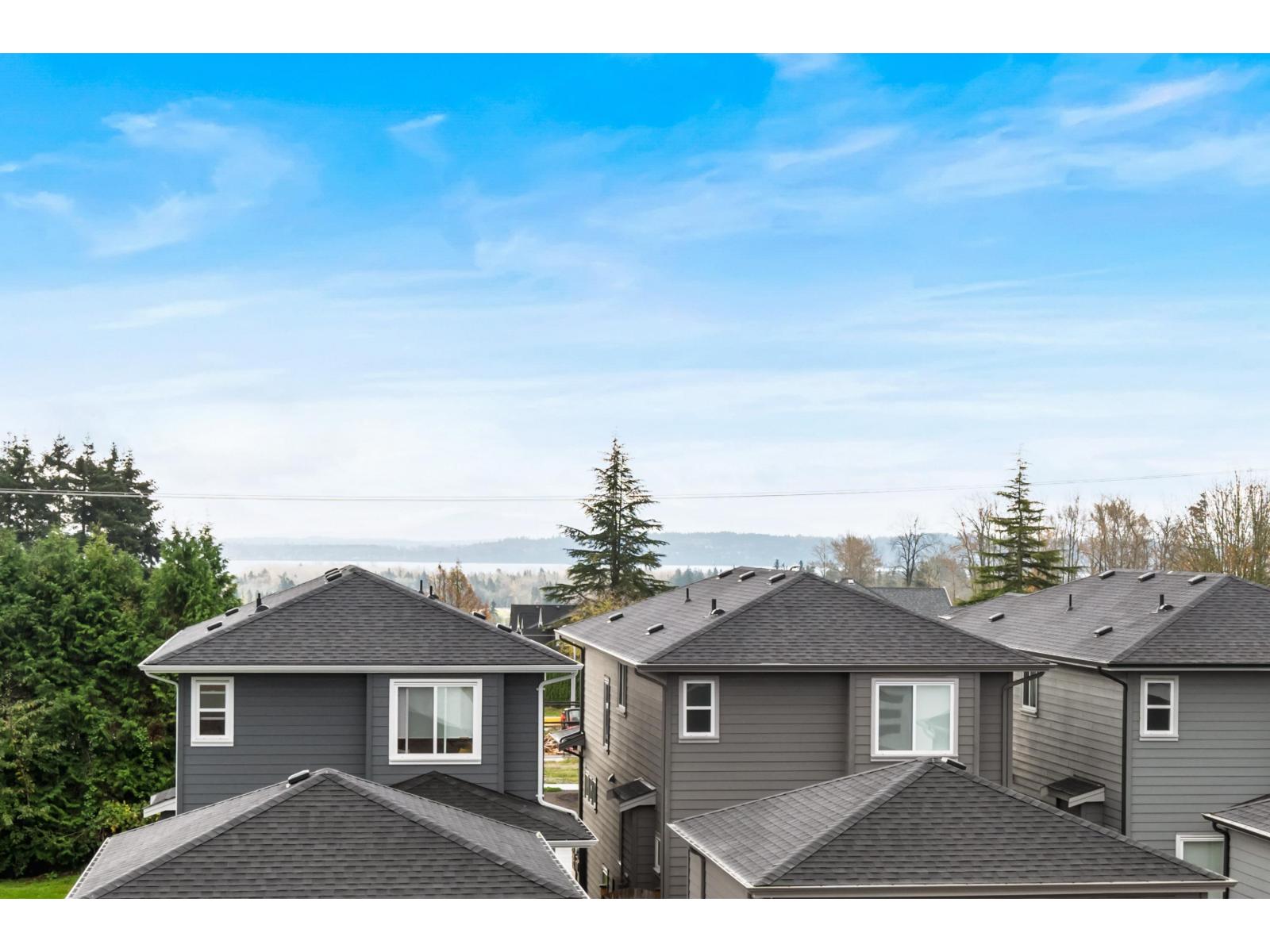 16742 20a Avenue, Surrey, British Columbia  V3Z 1J4 - Photo 29 - R3101198