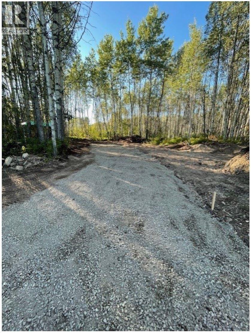 Lot 3 Pinchi Lake Road, Fort St. James, British Columbia  V0J 1P0 - Photo 2 - R3070964