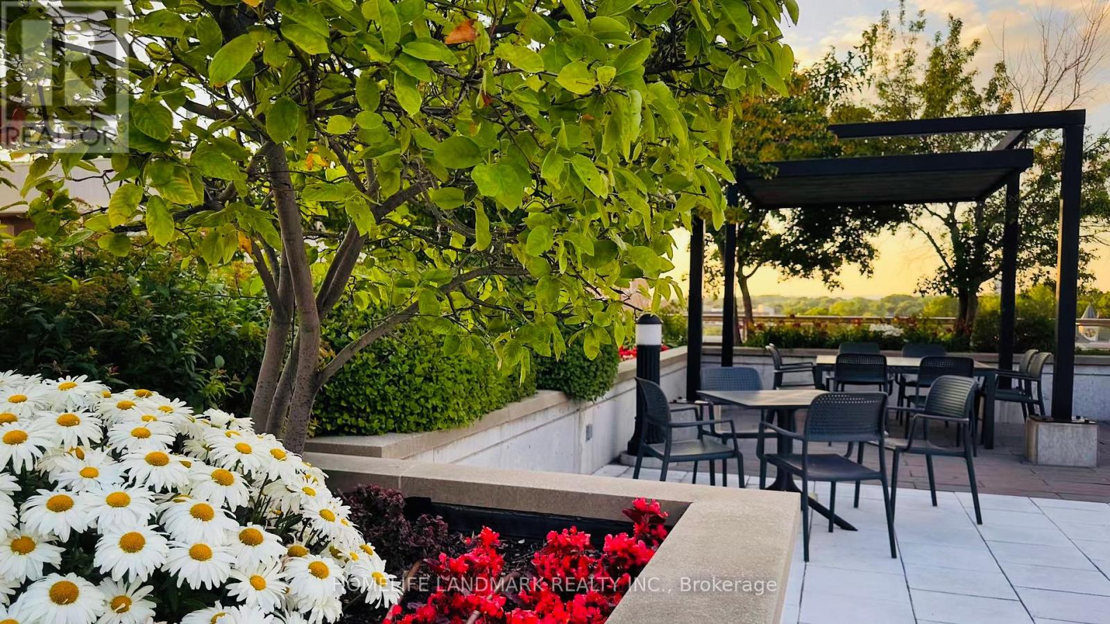 501 - 68 Main Street N, Markham, Ontario  L3P 0N5 - Photo 16 - N13015432