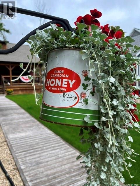 23 Poplar Street, Moose Mountain Provincial Park, Saskatchewan  S0C 0S0 - Photo 3 - SK032938