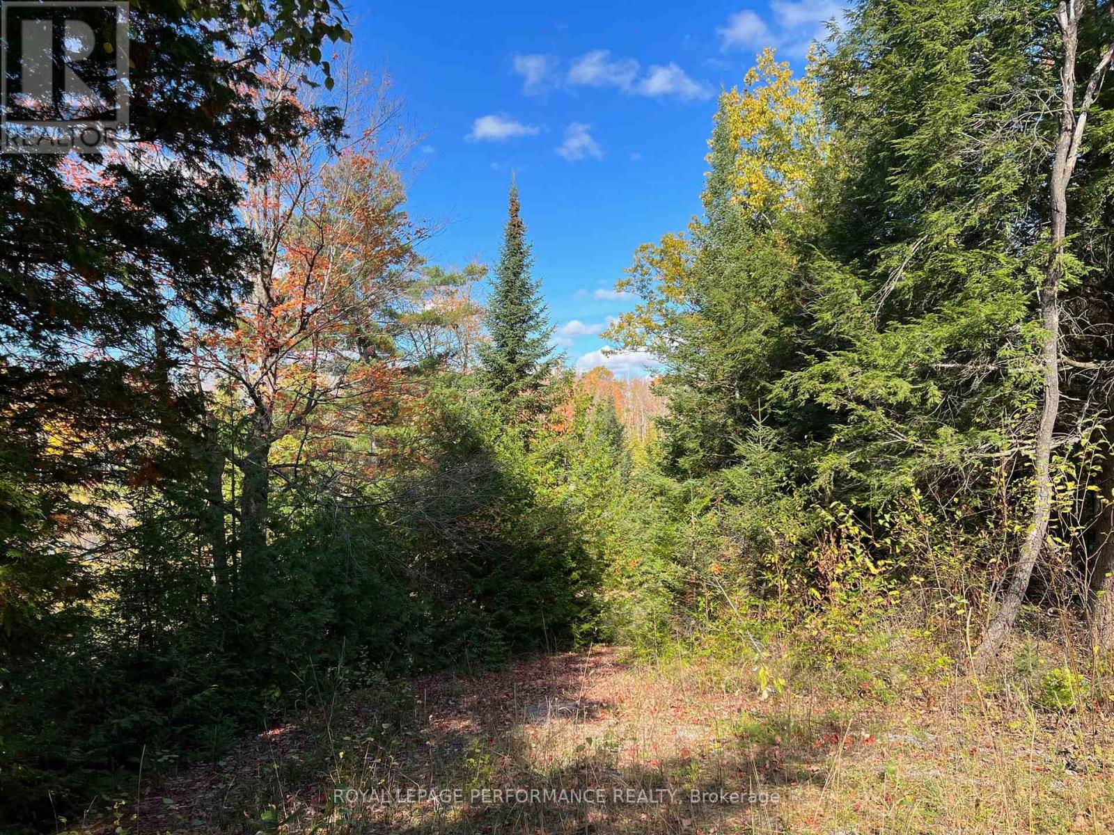 304 Lacourse Lane, Lanark Highlands, Ontario  K0A 3L0 - Photo 3 - X13015438