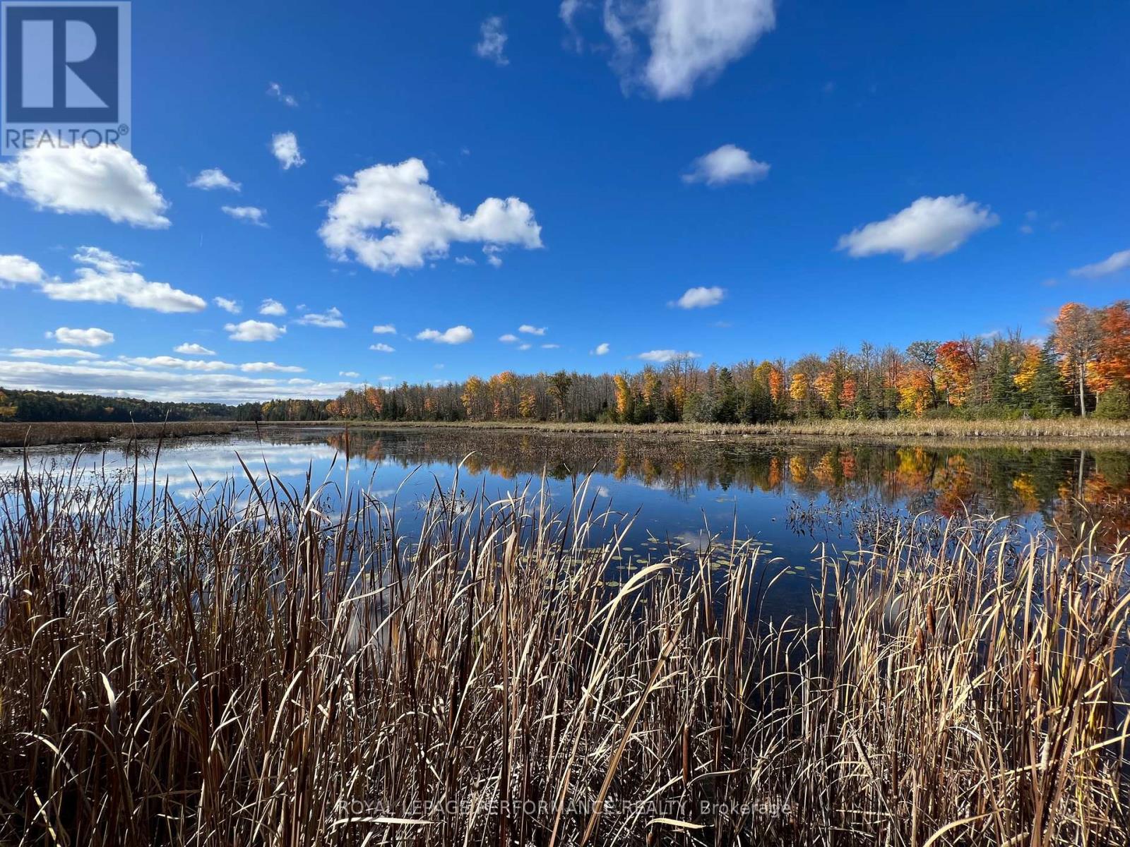 304 Lacourse Lane, Lanark Highlands, Ontario  K0A 3L0 - Photo 7 - X13015438