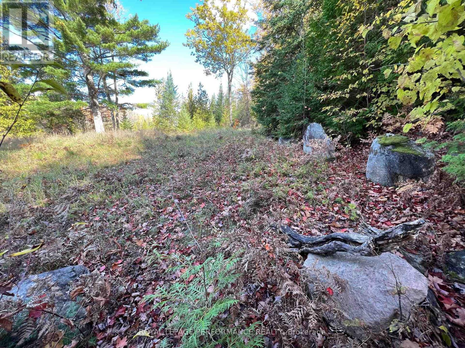 304 Lacourse Lane, Lanark Highlands, Ontario  K0A 3L0 - Photo 9 - X13015438