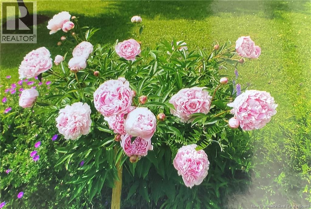 13562 Route 10, Berwick, New Brunswick  E5P 3C9 - Photo 43 - NB133901