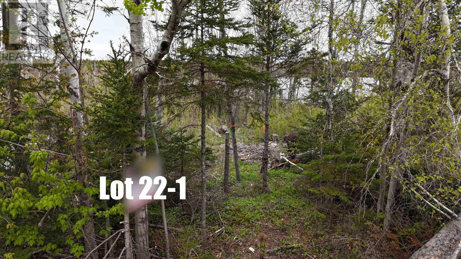 Lot 22-1 Lake Road, Mattatall Lake, Nova Scotia  B0M 1Z0 - Photo 3 - 202526172