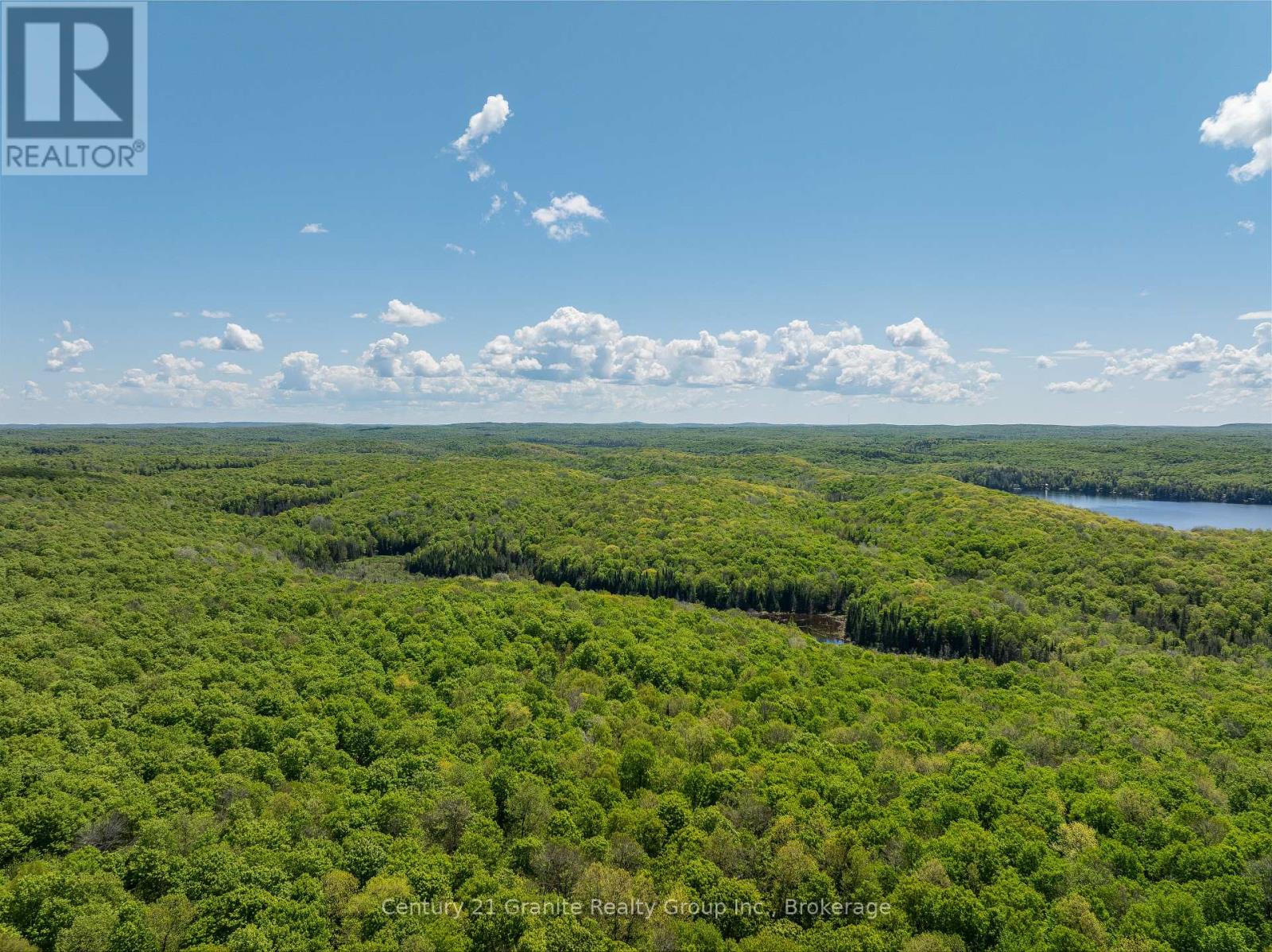 1145 Mink Road, Dysart Et Al, Ontario  K0M 1S0 - Photo 39 - X13015628