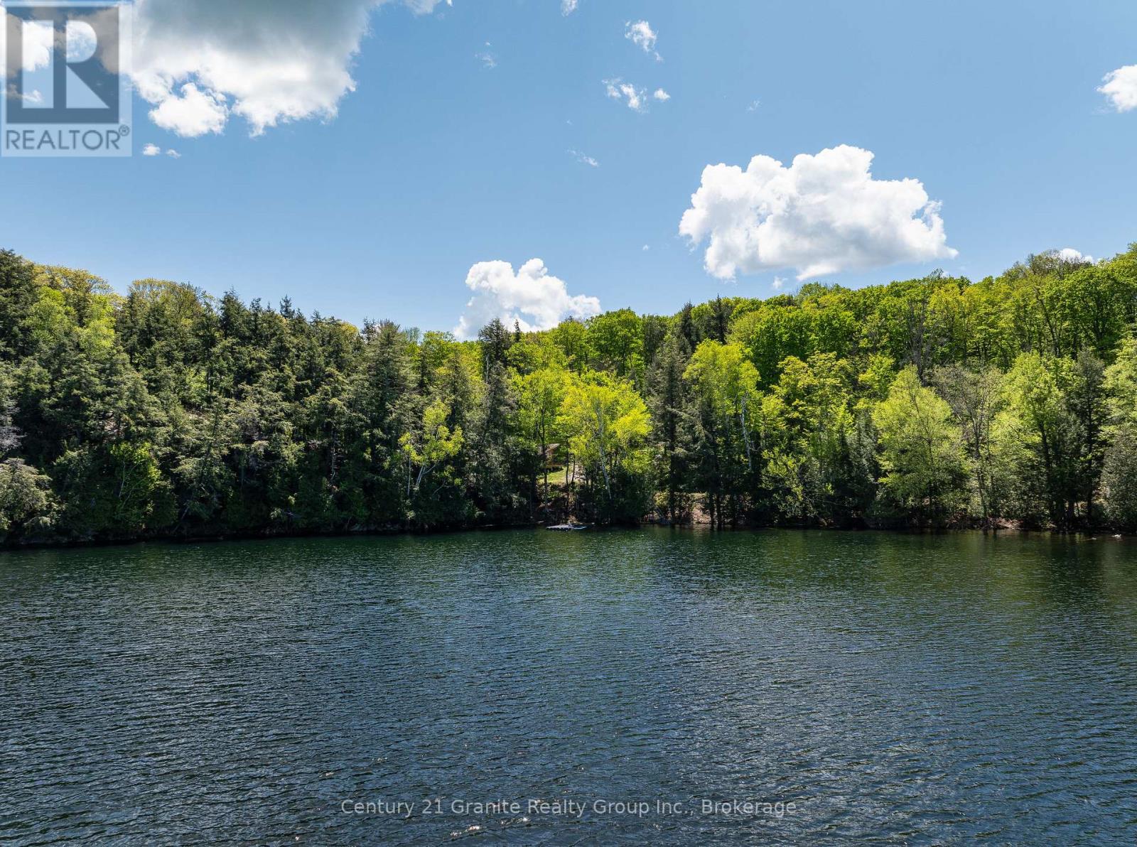 1145 Mink Road, Dysart Et Al, Ontario  K0M 1S0 - Photo 41 - X13015628