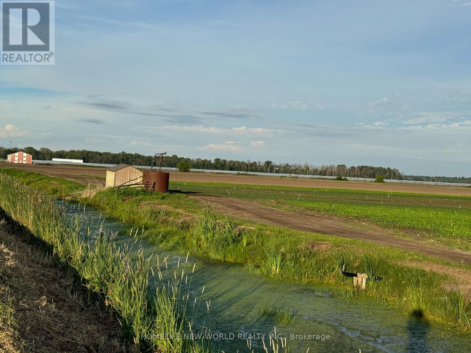 571 Ravenshoe Road, East Gwillimbury, Ontario  L0G 1R0 - Photo 2 - N13015610