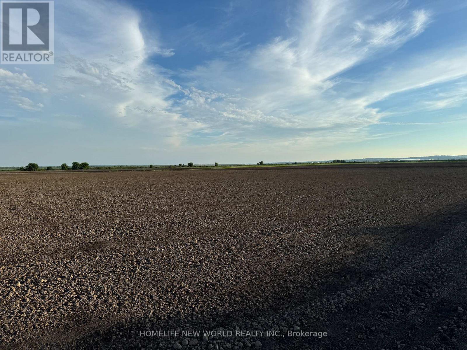 571 Ravenshoe Road, East Gwillimbury, Ontario  L0G 1R0 - Photo 3 - N13015610