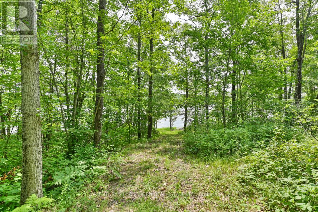 656 A Yarrow Lane, Marmora And Lake, Ontario  K0K 2K0 - Photo 29 - X13015700