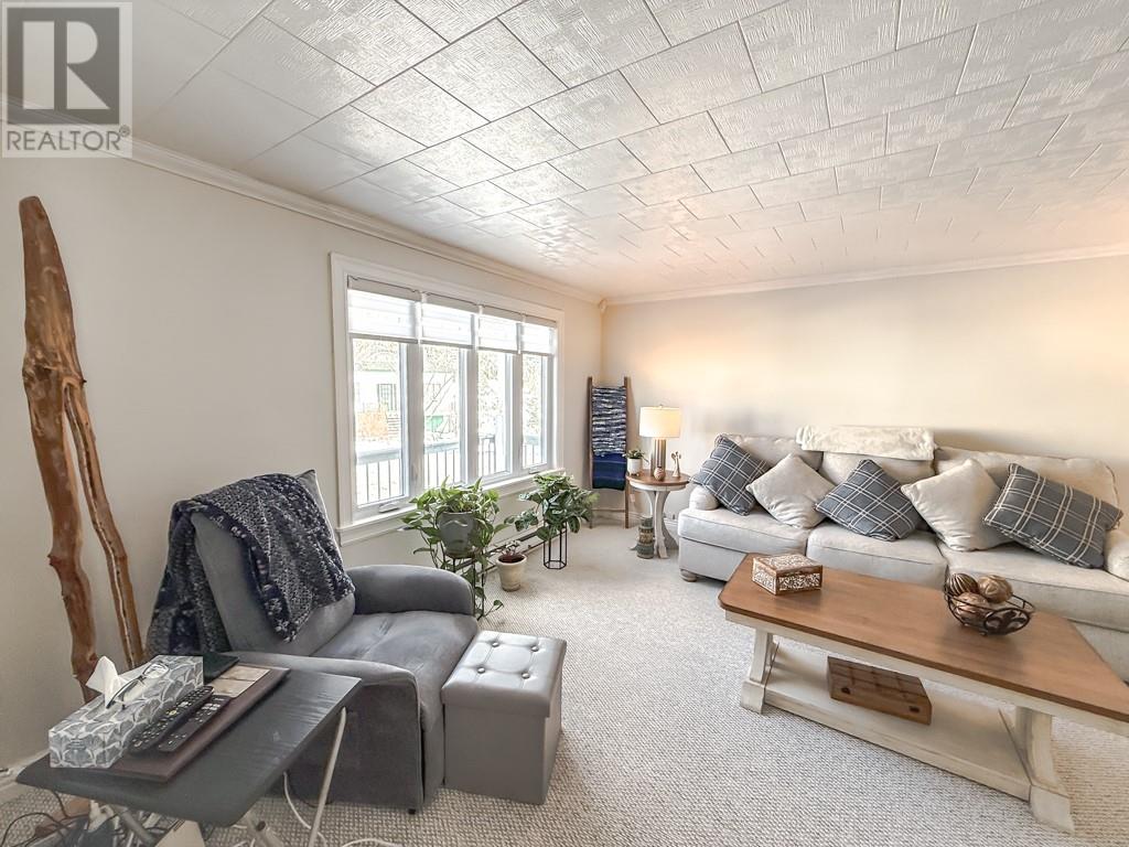 0 Blow Me Down Road, Port De Grave, Newfoundland & Labrador  A0A 3J0 - Photo 13 - 1295764