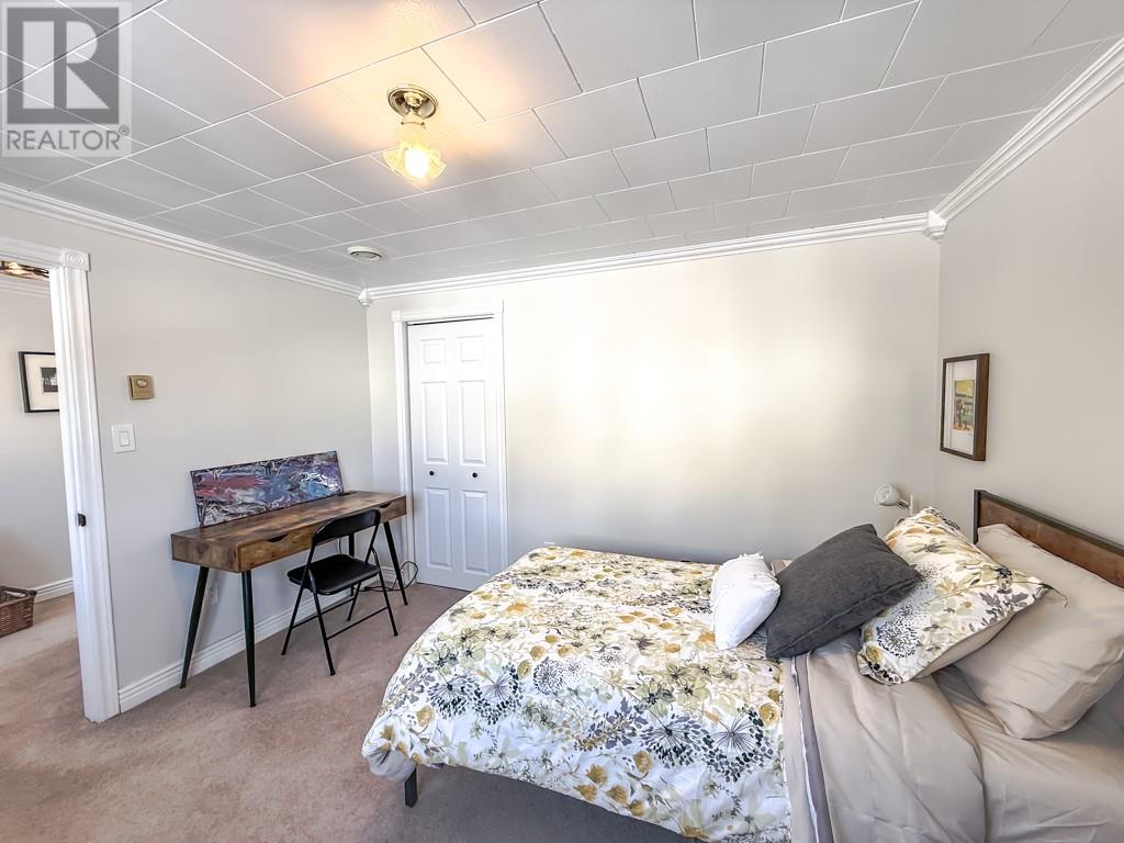 0 Blow Me Down Road, Port De Grave, Newfoundland & Labrador  A0A 3J0 - Photo 23 - 1295764