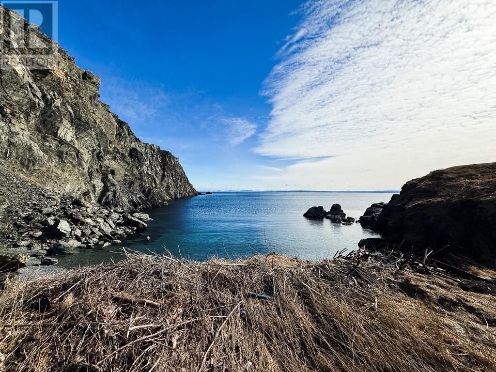 0 Blow Me Down Road, Port De Grave, Newfoundland & Labrador  A0A 3J0 - Photo 5 - 1295764
