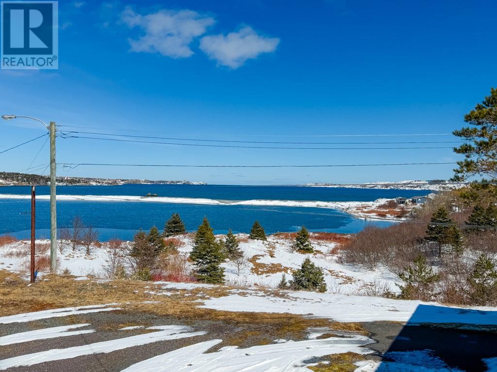 100 Bareneed Road, Coley's Point South, Newfoundland & Labrador  A0A 1X0 - Photo 22 - 1295771