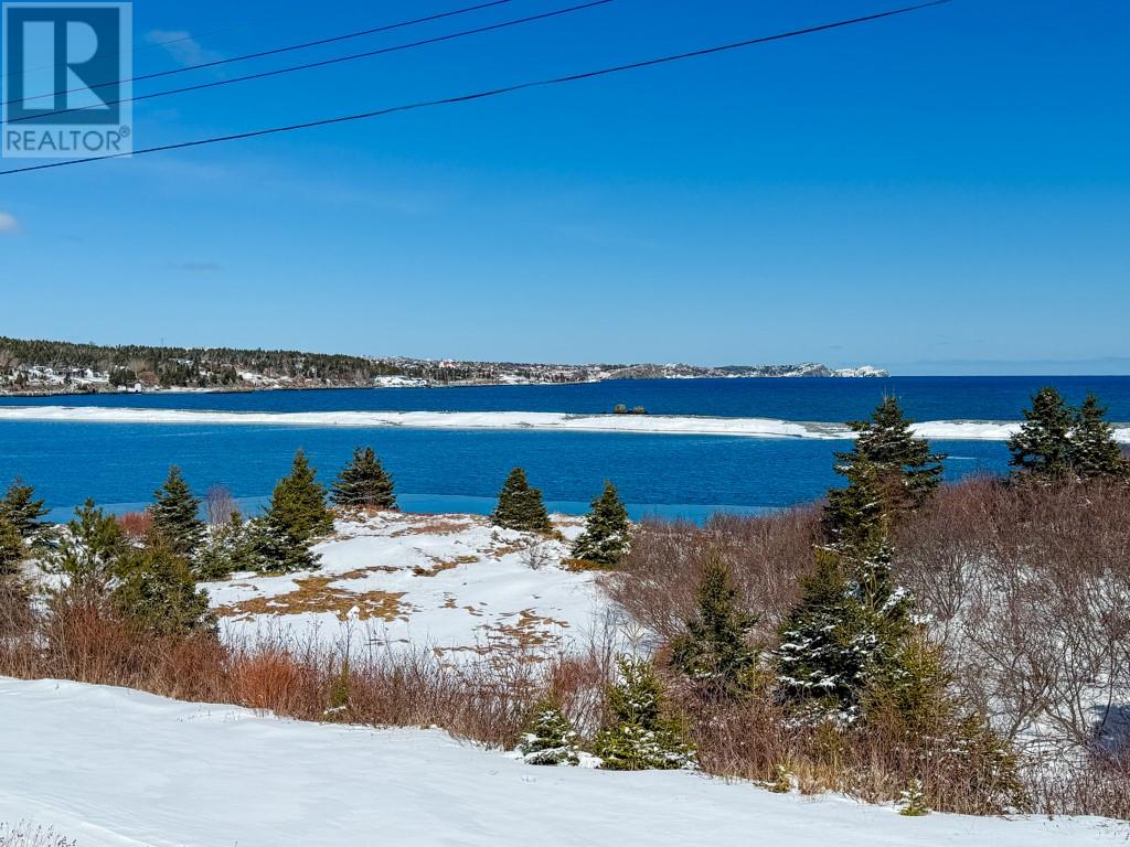 100 Bareneed Road, Coley's Point South, Newfoundland & Labrador  A0A 1X0 - Photo 2 - 1295771