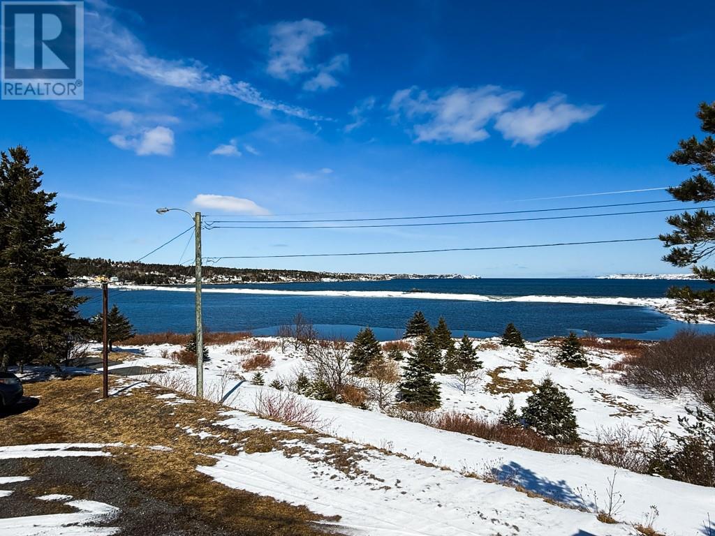 100 Bareneed Road, Coley's Point South, Newfoundland & Labrador  A0A 1X0 - Photo 23 - 1295771
