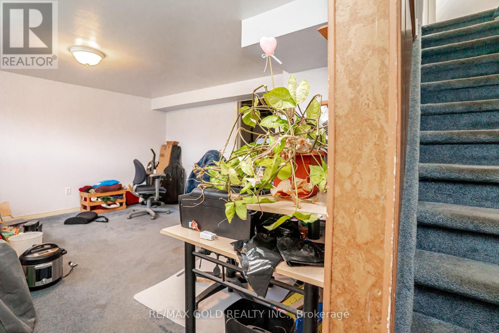 9 Mordon Court, Brampton, Ontario  L6V 2B5 - Photo 23 - W13015740