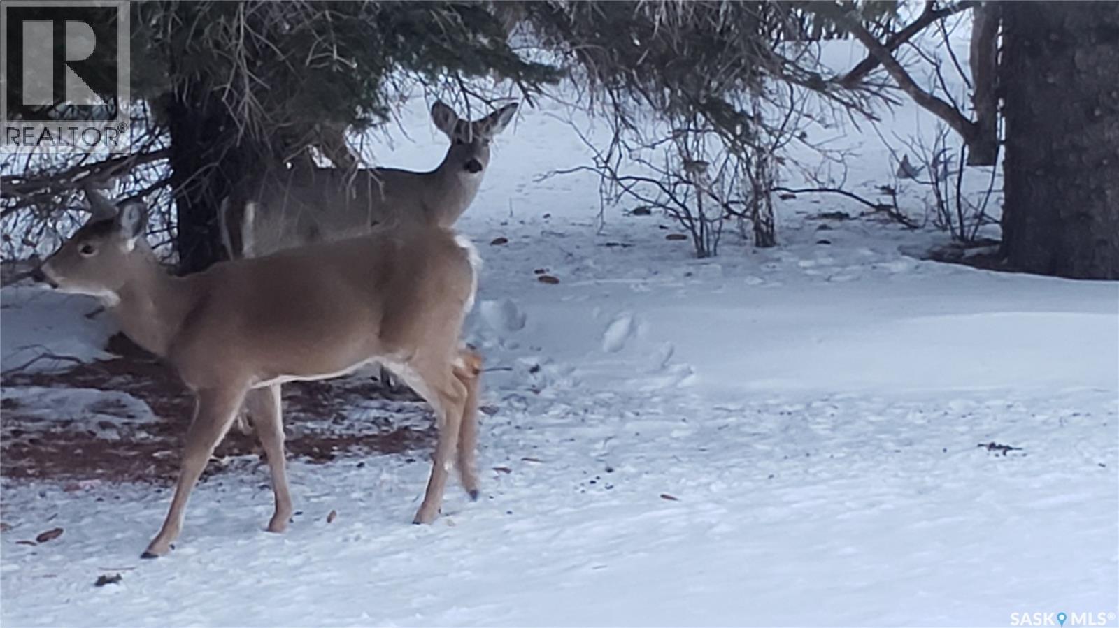91 Moir Drive, Oxbow, Saskatchewan  S0C 2B0 - Photo 36 - SK029313