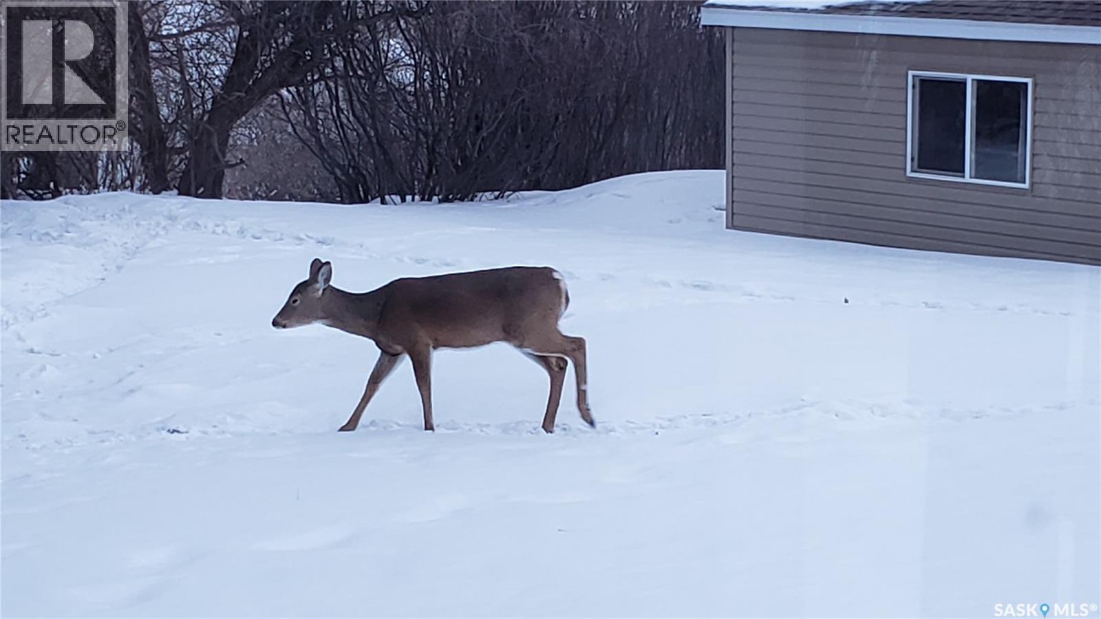91 Moir Drive, Oxbow, Saskatchewan  S0C 2B0 - Photo 37 - SK029313