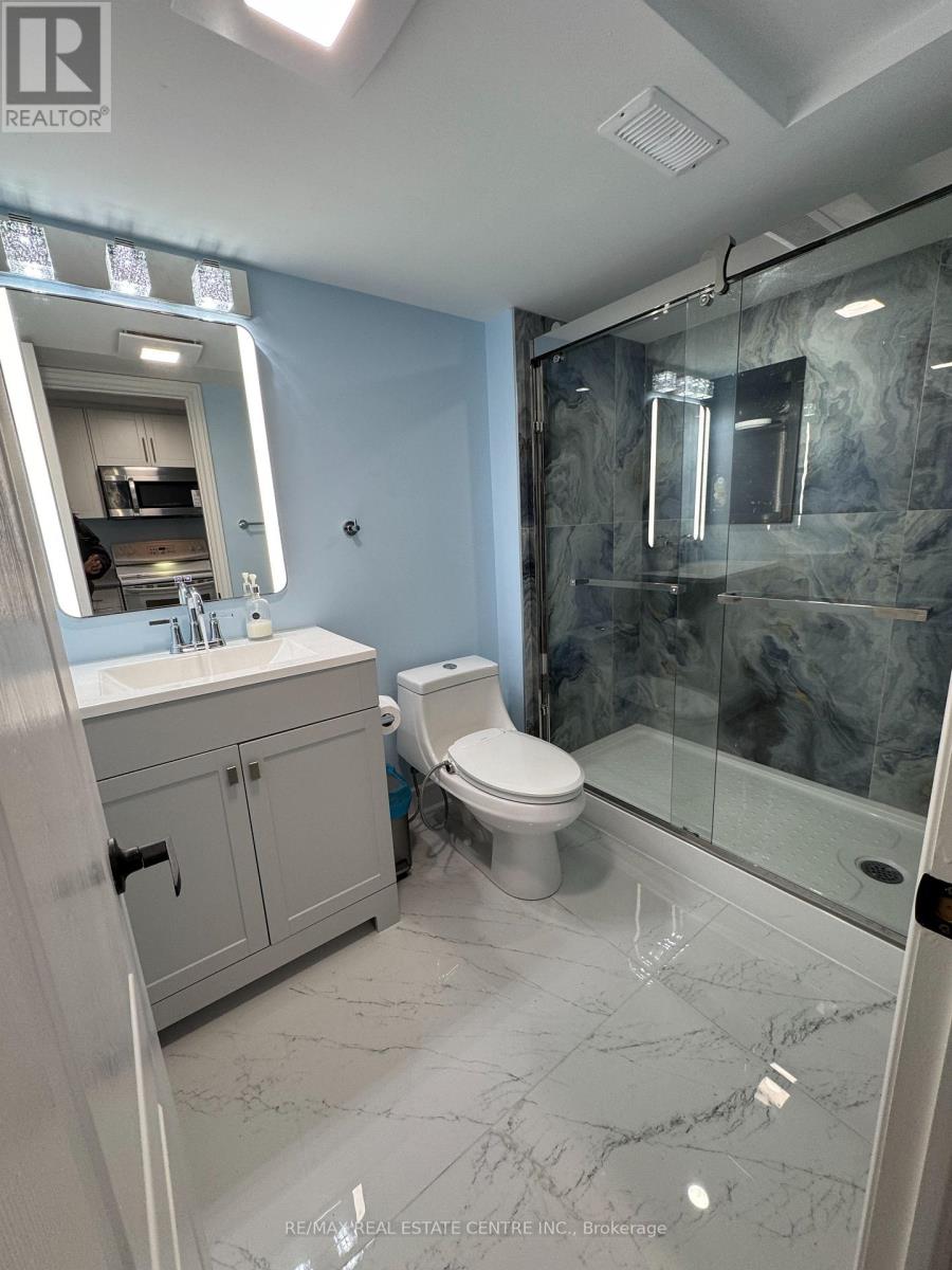 Basement - 1258 Listing Agent To Confirm Street, Mississauga, Ontario  L5V 1K6 - Photo 12 - W13015840