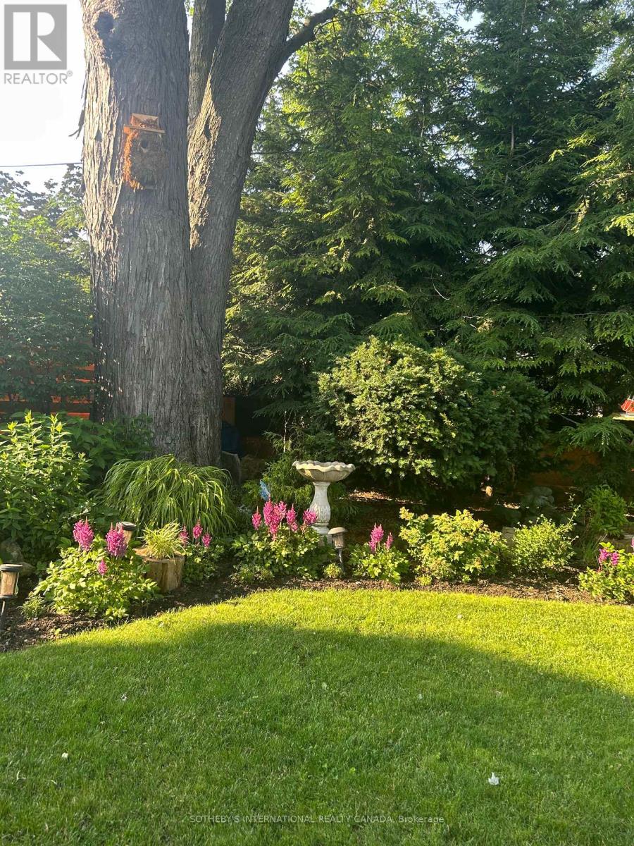 31 Maple Avenue N, Mississauga, Ontario  L5H 2R9 - Photo 45 - W13009768