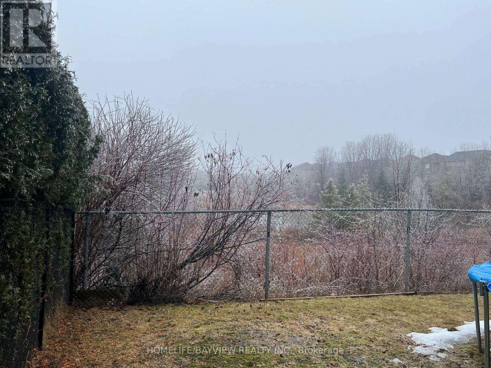 Bmnt - 367 Silken Laumann Drive, Newmarket, Ontario  L3X 2J1 - Photo 9 - N13011988