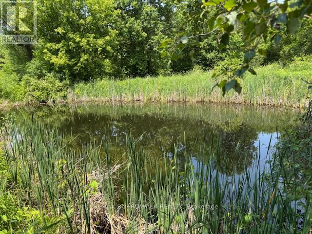 72 Corktown Lane, Merrickville-Wolford, Ontario  K0G 1N0 - Photo 39 - X13015988