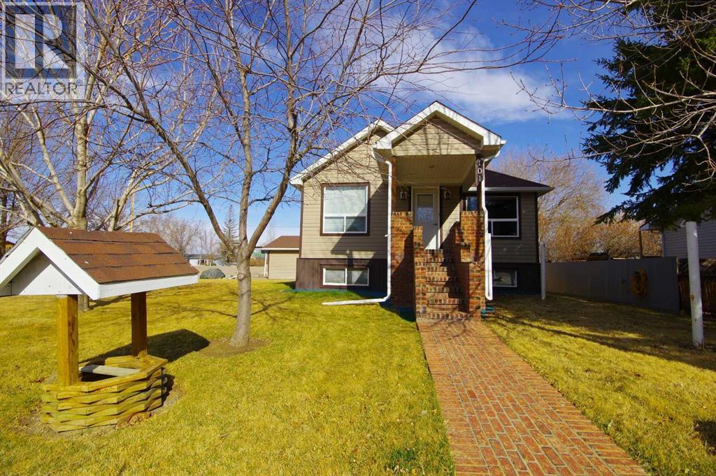 101 Scandia Crescent, Scandia, Alberta  T0J 2Z0 - Photo 1 - A2302099