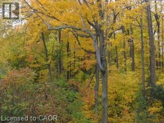 103 Glazebrook Crescent, Cambridge, Ontario  N1T 2H8 - Photo 37 - 40822076