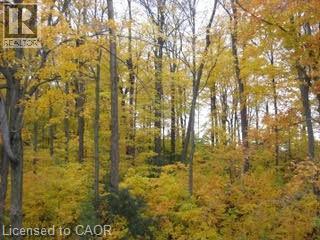 103 Glazebrook Crescent, Cambridge, Ontario  N1T 2H8 - Photo 38 - 40822076