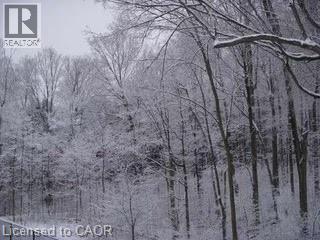 103 Glazebrook Crescent, Cambridge, Ontario  N1T 2H8 - Photo 40 - 40822076