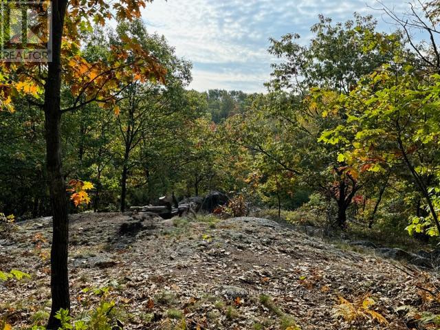 1851 Inverlochy Road, Carling, Ontario  P0G 1G0 - Photo 11 - X13016160