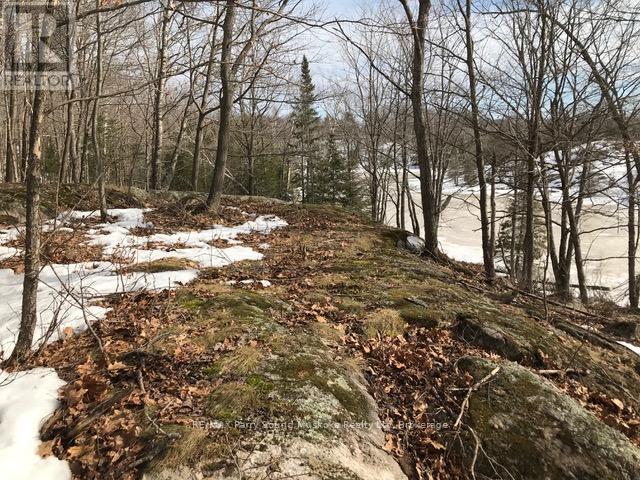 1851 Inverlochy Road, Carling, Ontario  P0G 1G0 - Photo 14 - X13016160