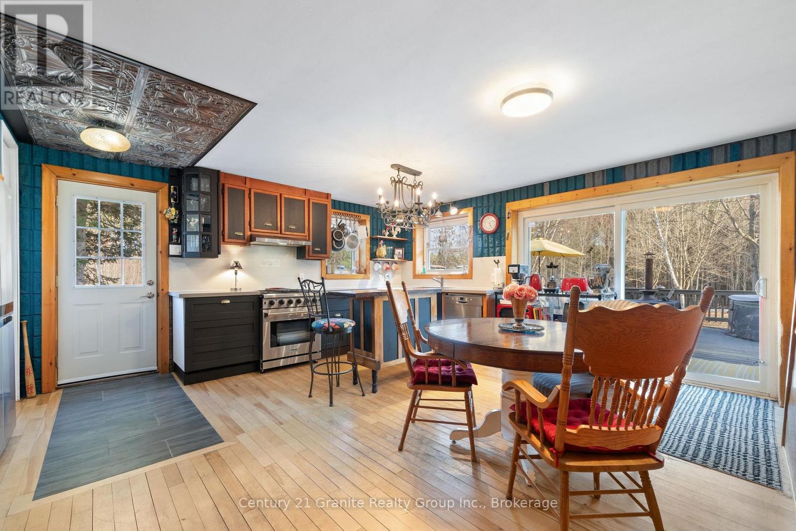 1093 Kushog Lake Road, Minden Hills, Ontario  K0M 2K0 - Photo 5 - X13016172