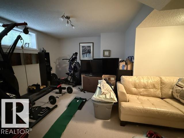 21316 95 Av Nw, Edmonton, Alberta  T5T 4C9 - Photo 26 - E4483054