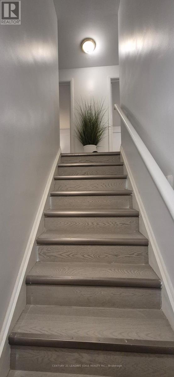 Main - 28 Amity Road W, Mississauga, Ontario  L5M 1P2 - Photo 11 - W13016278