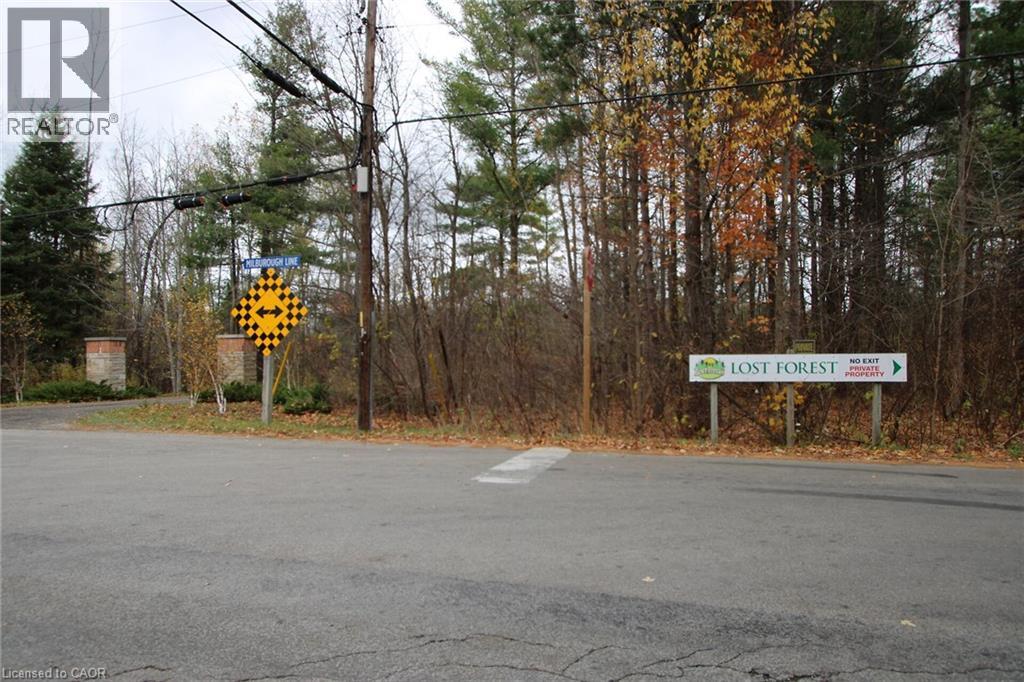 4449 Milburough Line, Burlington, Ontario  L7P 0C5 - Photo 27 - 40821721