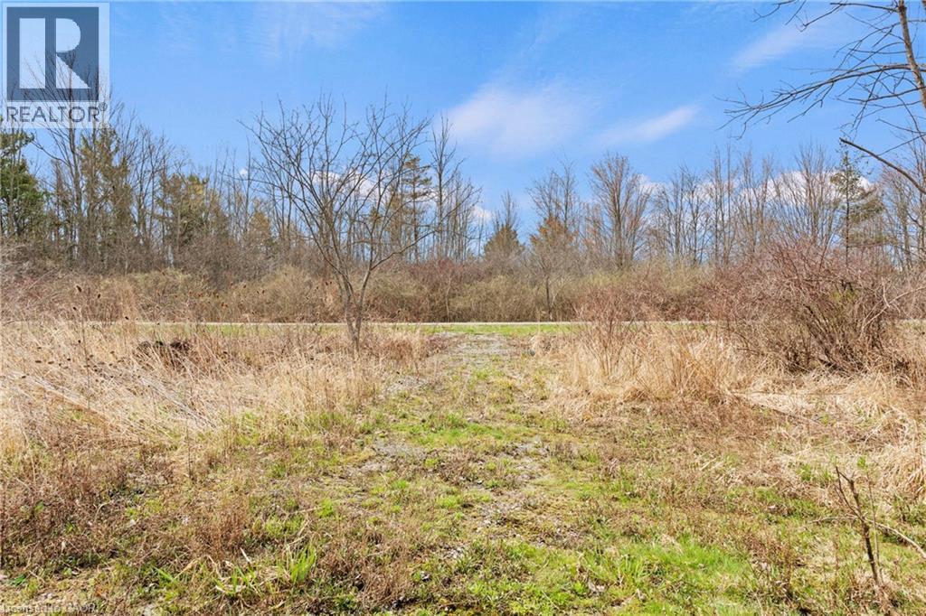 1887 Dominion Road, Ridgeway, Ontario  L0S 1N0 - Photo 45 - 40822119